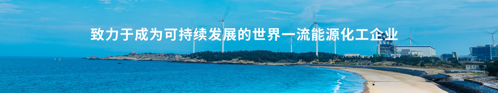 福建省能源石化集团有限责任公司